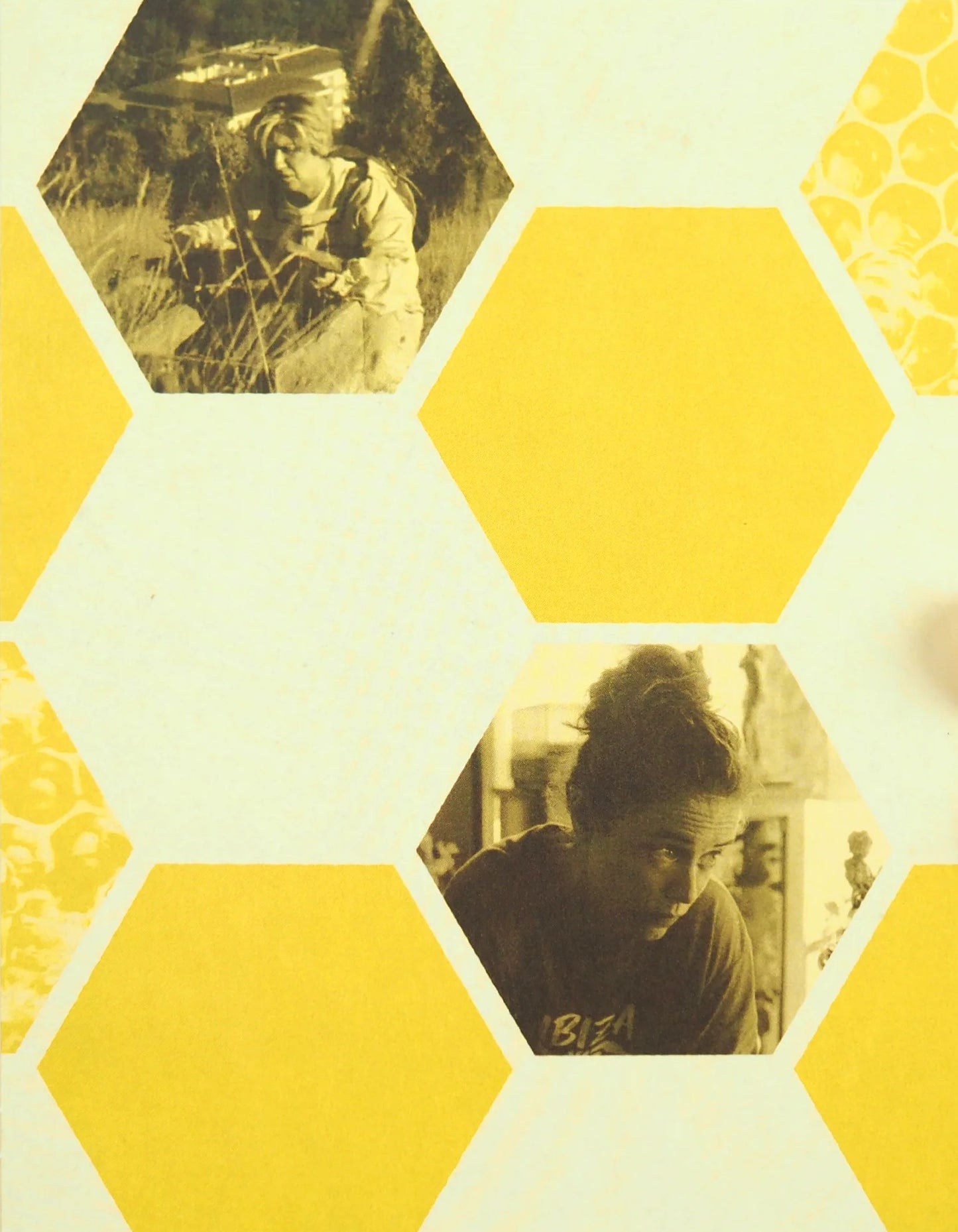 20,000 Species of Bees (with OOP Slipcover)