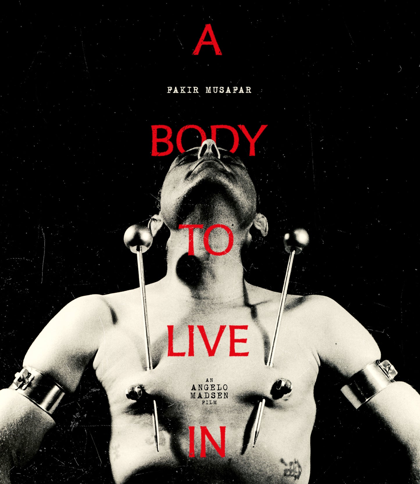 A Body To Live In Blu-Ray