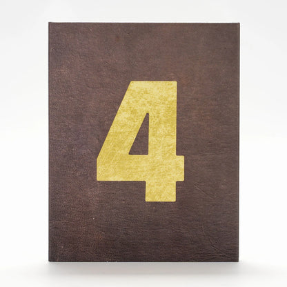 PRE-ORDER: Reviver 4 Blu-Ray (Reviver)