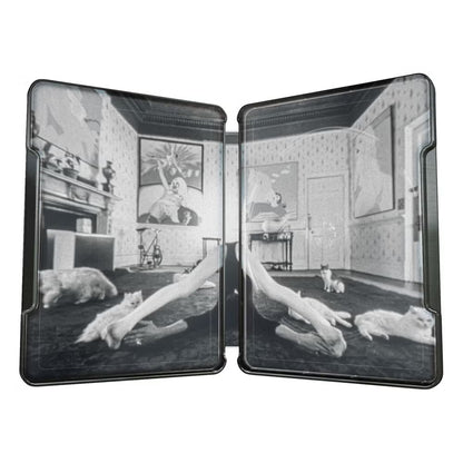 A Clockwork Orange Limited Edition Steelbook (UK) 4K Ultra HD + Blu-Ray (Region Free)